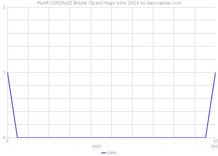 PILAR GONZALEZ BALSA (Spain) Page visits 2024 