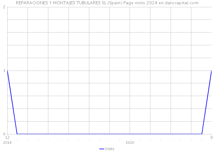 REPARACIONES Y MONTAJES TUBULARES SL (Spain) Page visits 2024 