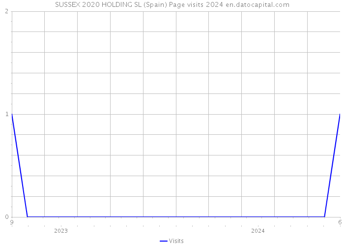 SUSSEX 2020 HOLDING SL (Spain) Page visits 2024 