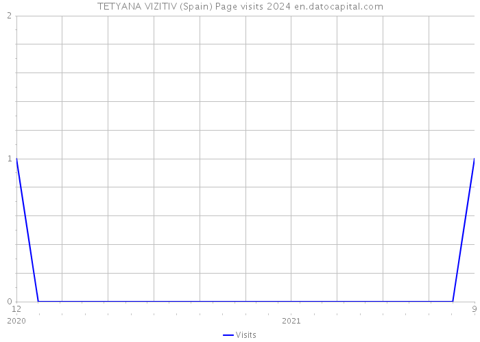 TETYANA VIZITIV (Spain) Page visits 2024 