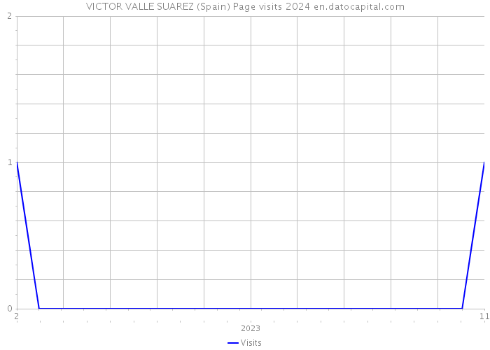 VICTOR VALLE SUAREZ (Spain) Page visits 2024 