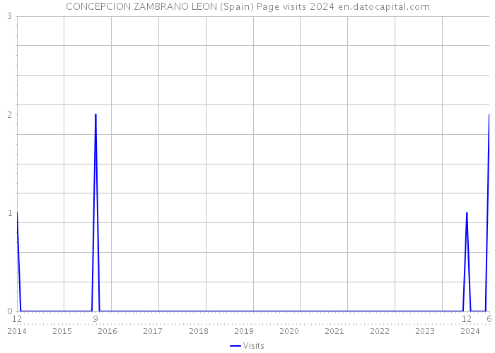 CONCEPCION ZAMBRANO LEON (Spain) Page visits 2024 