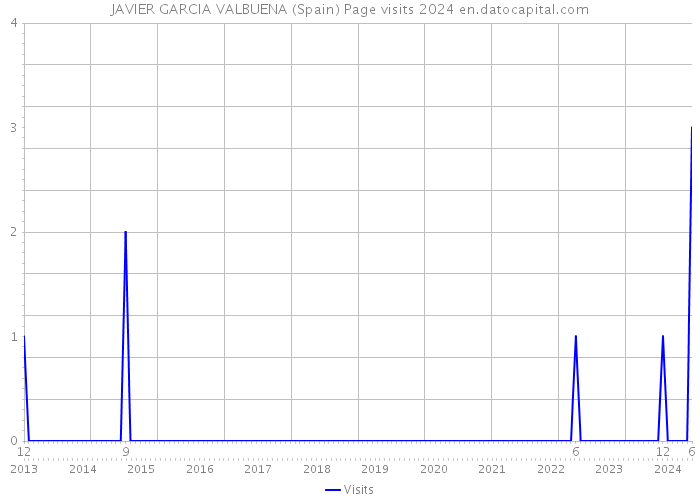 JAVIER GARCIA VALBUENA (Spain) Page visits 2024 