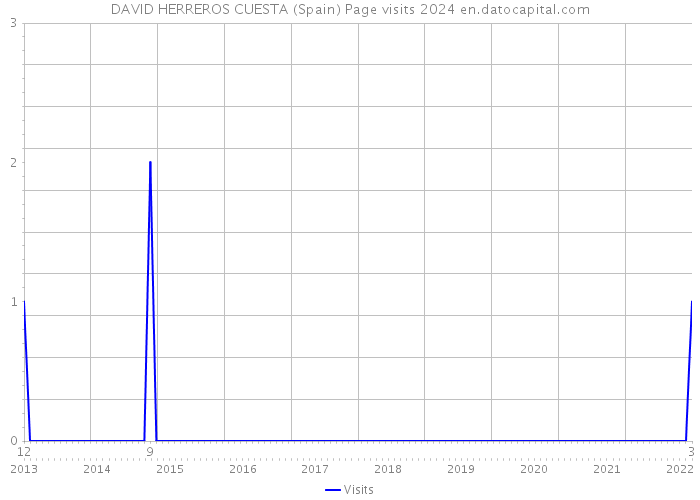 DAVID HERREROS CUESTA (Spain) Page visits 2024 