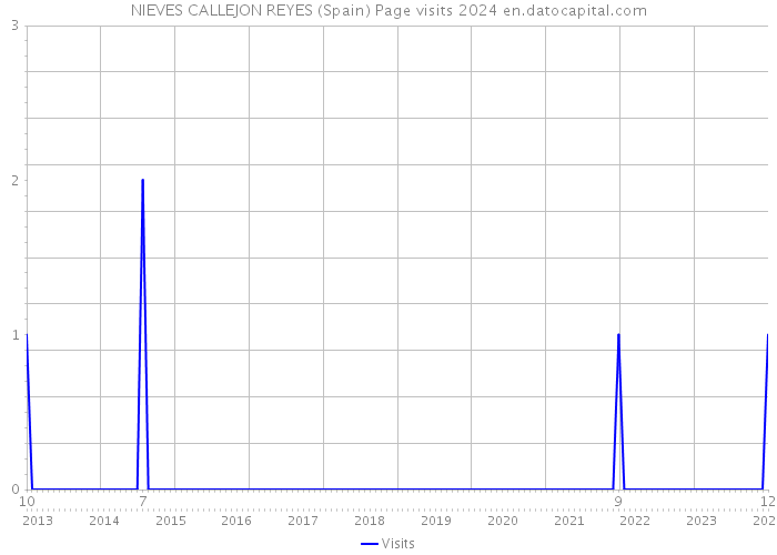 NIEVES CALLEJON REYES (Spain) Page visits 2024 