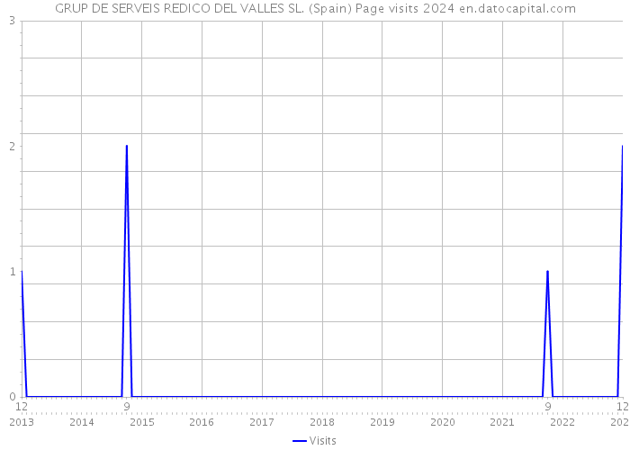 GRUP DE SERVEIS REDICO DEL VALLES SL. (Spain) Page visits 2024 