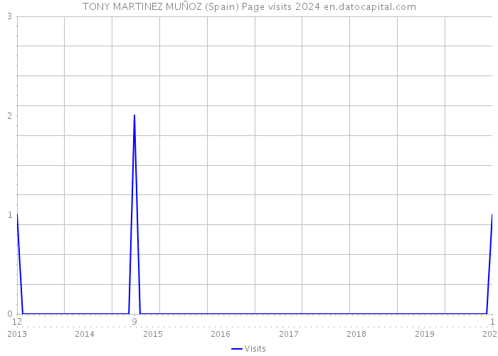 TONY MARTINEZ MUÑOZ (Spain) Page visits 2024 