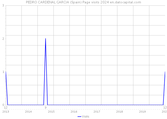 PEDRO CARDENAL GARCIA (Spain) Page visits 2024 