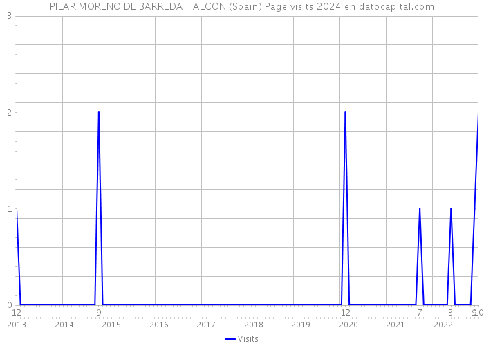 PILAR MORENO DE BARREDA HALCON (Spain) Page visits 2024 