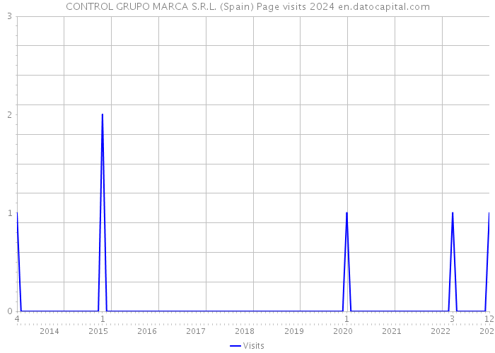 CONTROL GRUPO MARCA S.R.L. (Spain) Page visits 2024 