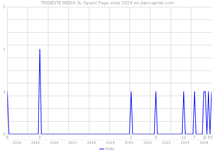 TRIDENTE MEDIA SL (Spain) Page visits 2024 