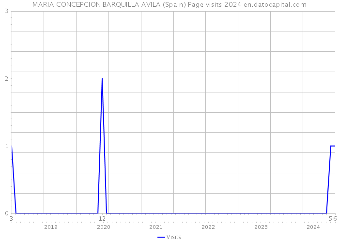 MARIA CONCEPCION BARQUILLA AVILA (Spain) Page visits 2024 