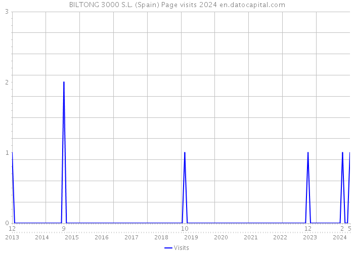 BILTONG 3000 S.L. (Spain) Page visits 2024 