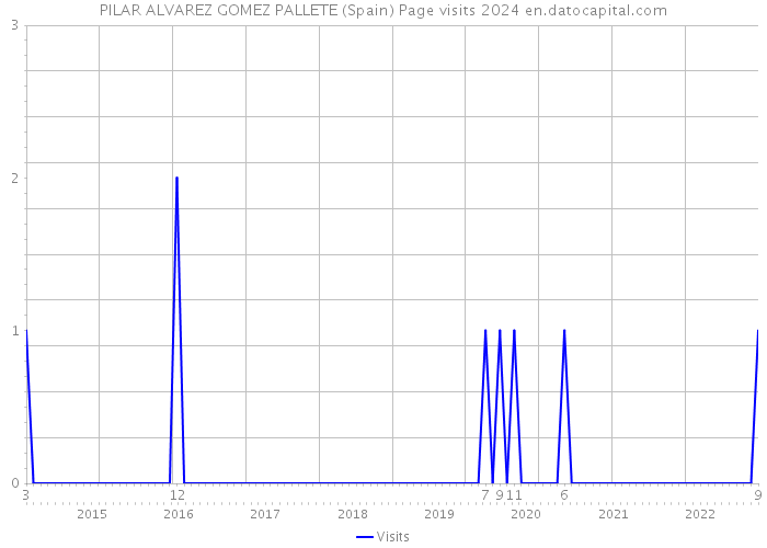 PILAR ALVAREZ GOMEZ PALLETE (Spain) Page visits 2024 