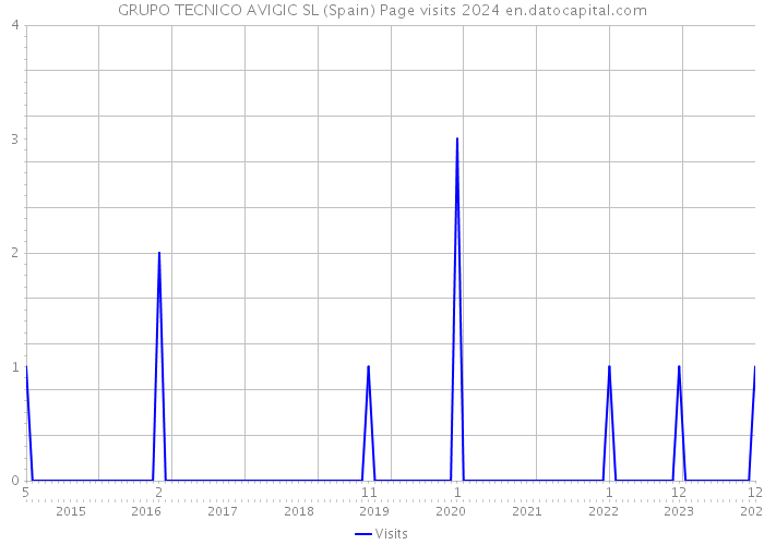 GRUPO TECNICO AVIGIC SL (Spain) Page visits 2024 