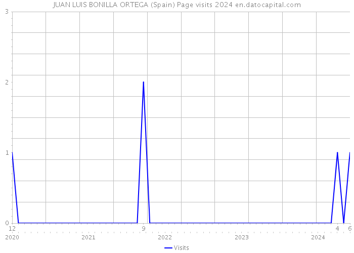JUAN LUIS BONILLA ORTEGA (Spain) Page visits 2024 