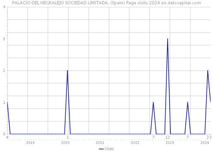 PALACIO DEL NEGRALEJO SOCIEDAD LIMITADA. (Spain) Page visits 2024 