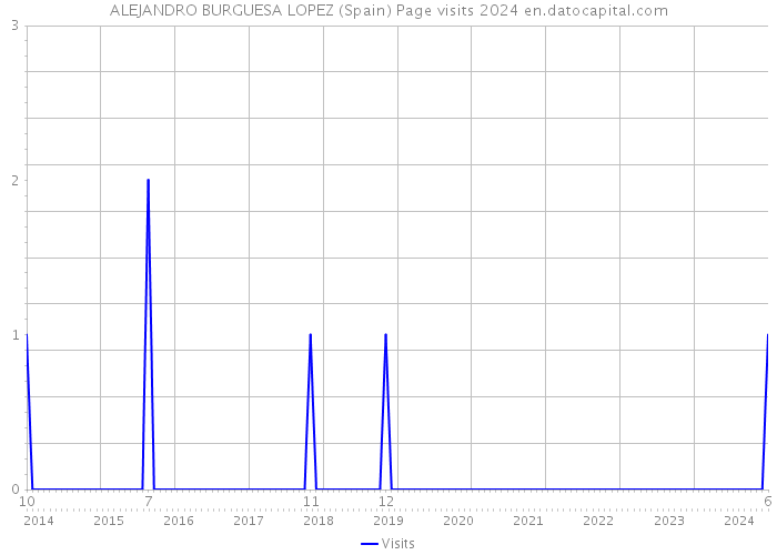 ALEJANDRO BURGUESA LOPEZ (Spain) Page visits 2024 
