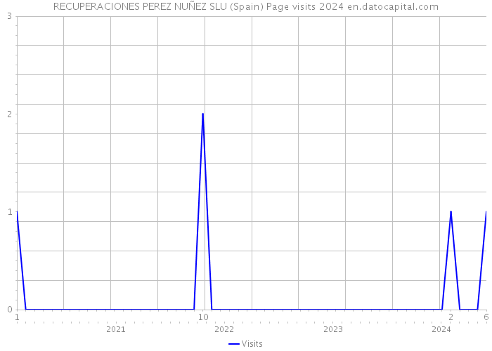 RECUPERACIONES PEREZ NUÑEZ SLU (Spain) Page visits 2024 