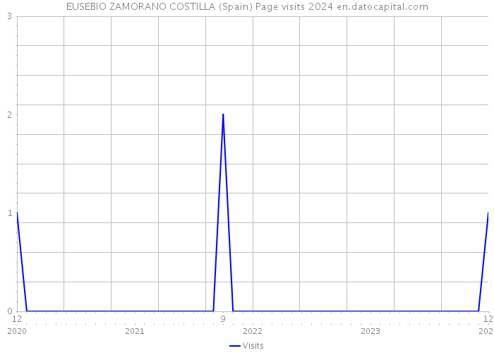 EUSEBIO ZAMORANO COSTILLA (Spain) Page visits 2024 