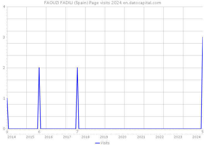 FAOUZI FADILI (Spain) Page visits 2024 