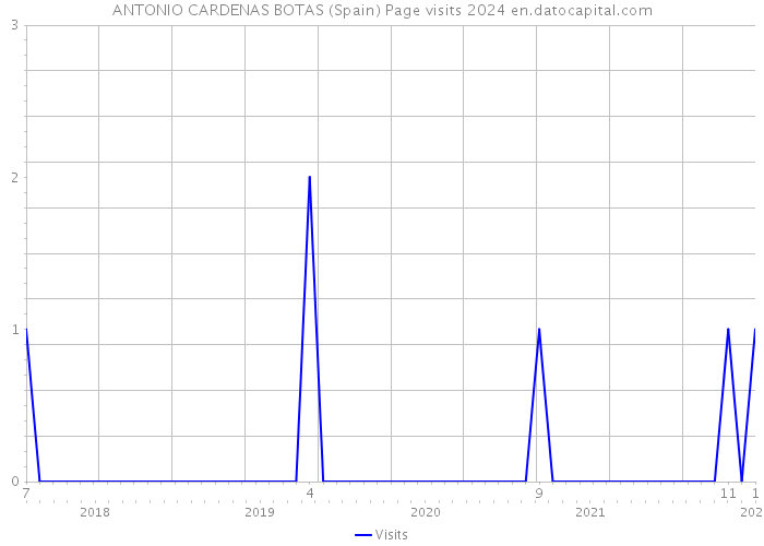 ANTONIO CARDENAS BOTAS (Spain) Page visits 2024 