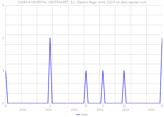 CLINICA HOSPITAL CENTRALPET, S.L. (Spain) Page visits 2024 