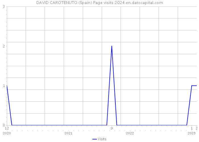 DAVID CAROTENUTO (Spain) Page visits 2024 