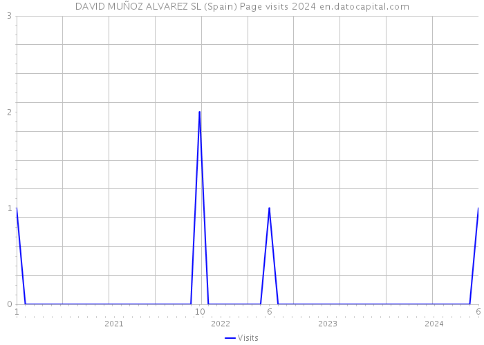 DAVID MUÑOZ ALVAREZ SL (Spain) Page visits 2024 