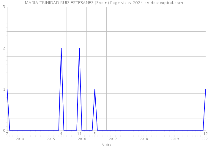 MARIA TRINIDAD RUIZ ESTEBANEZ (Spain) Page visits 2024 