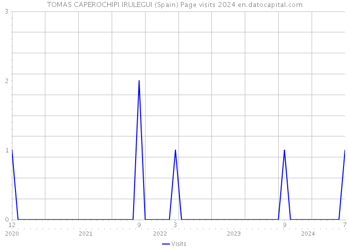 TOMAS CAPEROCHIPI IRULEGUI (Spain) Page visits 2024 