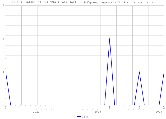 PEDRO ALDAMIZ ECHEVARRIA ARAECHAEDERRA (Spain) Page visits 2024 