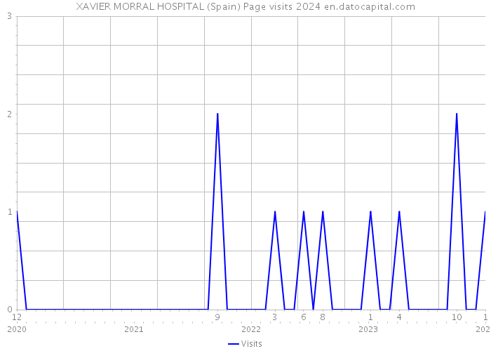 XAVIER MORRAL HOSPITAL (Spain) Page visits 2024 