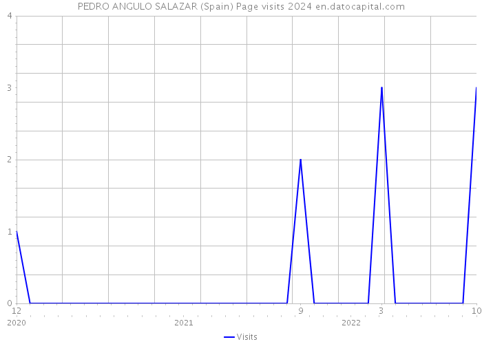 PEDRO ANGULO SALAZAR (Spain) Page visits 2024 