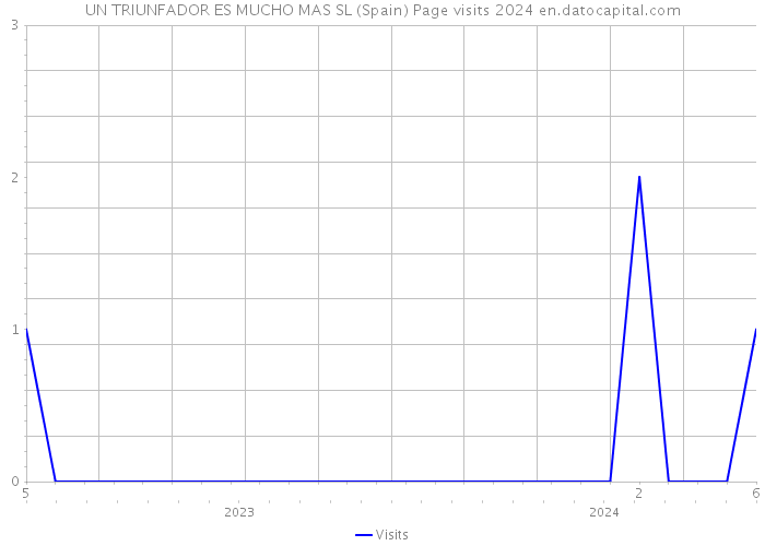 UN TRIUNFADOR ES MUCHO MAS SL (Spain) Page visits 2024 