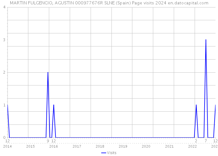 MARTIN FULGENCIO, AGUSTIN 000977676R SLNE (Spain) Page visits 2024 