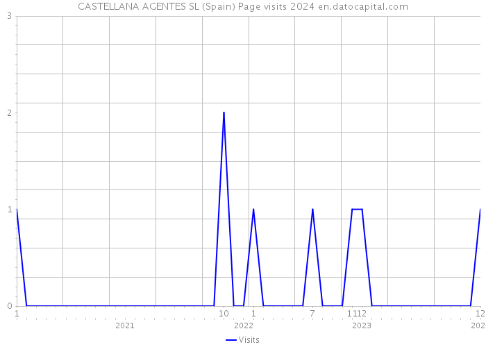 CASTELLANA AGENTES SL (Spain) Page visits 2024 