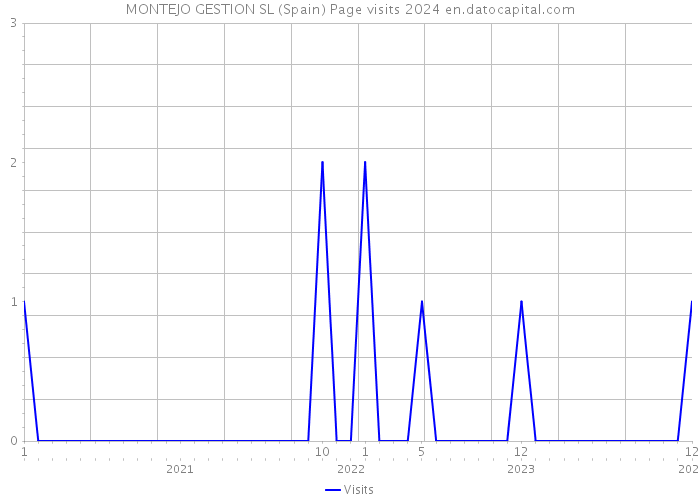 MONTEJO GESTION SL (Spain) Page visits 2024 