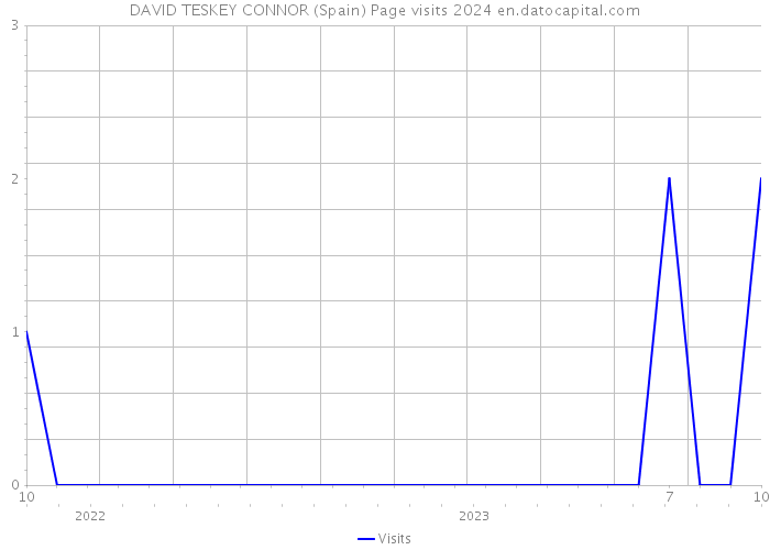 DAVID TESKEY CONNOR (Spain) Page visits 2024 