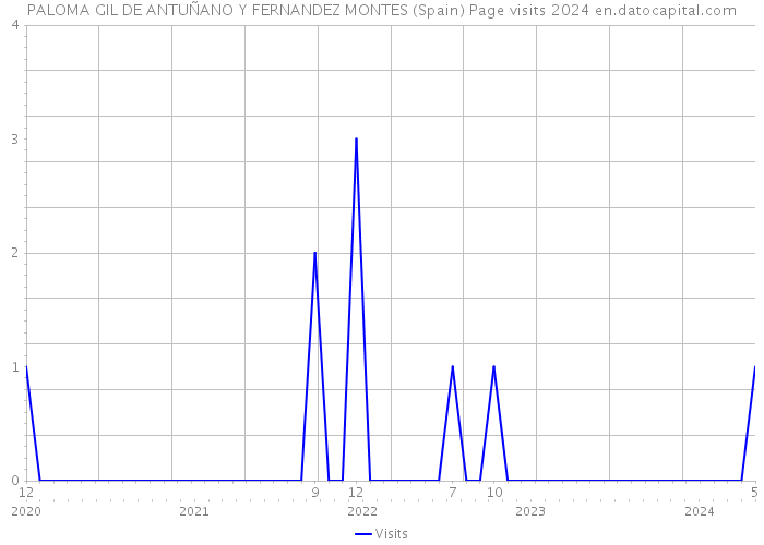 PALOMA GIL DE ANTUÑANO Y FERNANDEZ MONTES (Spain) Page visits 2024 