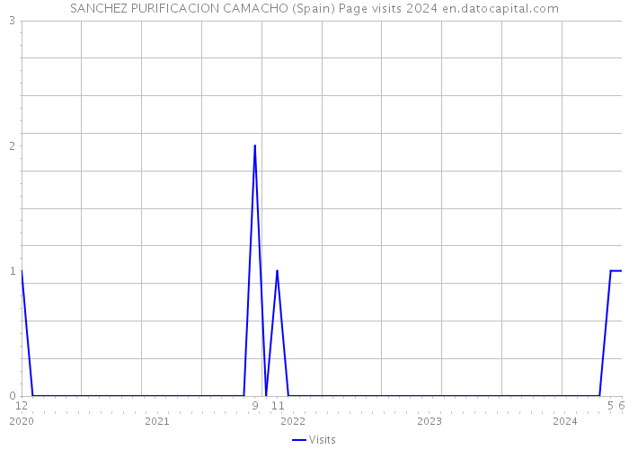 SANCHEZ PURIFICACION CAMACHO (Spain) Page visits 2024 