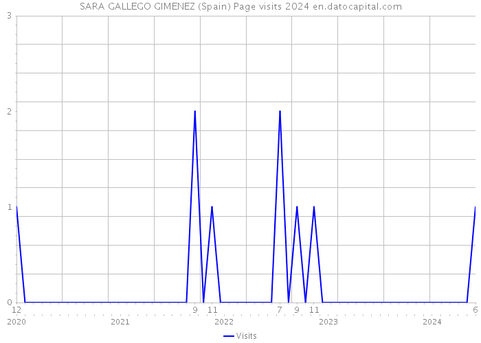 SARA GALLEGO GIMENEZ (Spain) Page visits 2024 