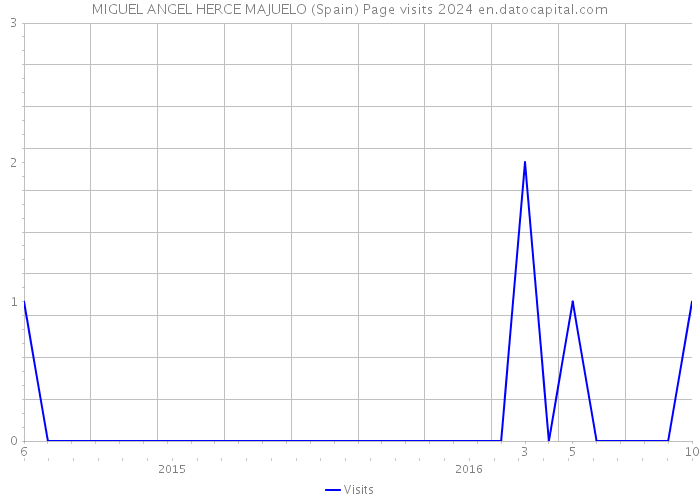 MIGUEL ANGEL HERCE MAJUELO (Spain) Page visits 2024 