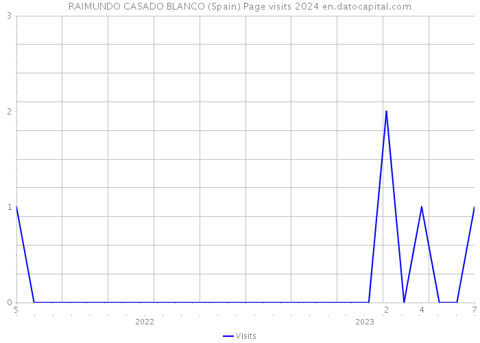 RAIMUNDO CASADO BLANCO (Spain) Page visits 2024 