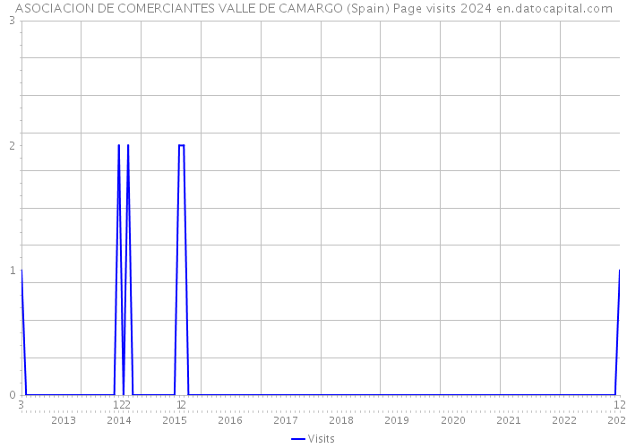 ASOCIACION DE COMERCIANTES VALLE DE CAMARGO (Spain) Page visits 2024 