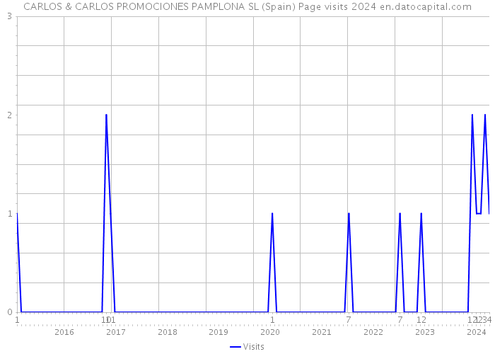 CARLOS & CARLOS PROMOCIONES PAMPLONA SL (Spain) Page visits 2024 