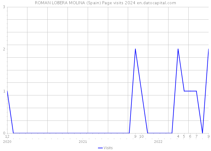 ROMAN LOBERA MOLINA (Spain) Page visits 2024 