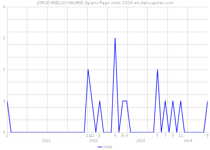 JORGE MIELGO HAURIE (Spain) Page visits 2024 