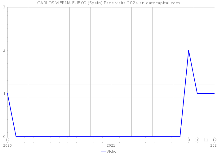 CARLOS VIERNA FUEYO (Spain) Page visits 2024 