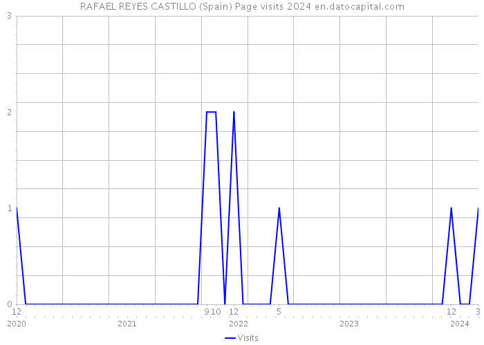 RAFAEL REYES CASTILLO (Spain) Page visits 2024 